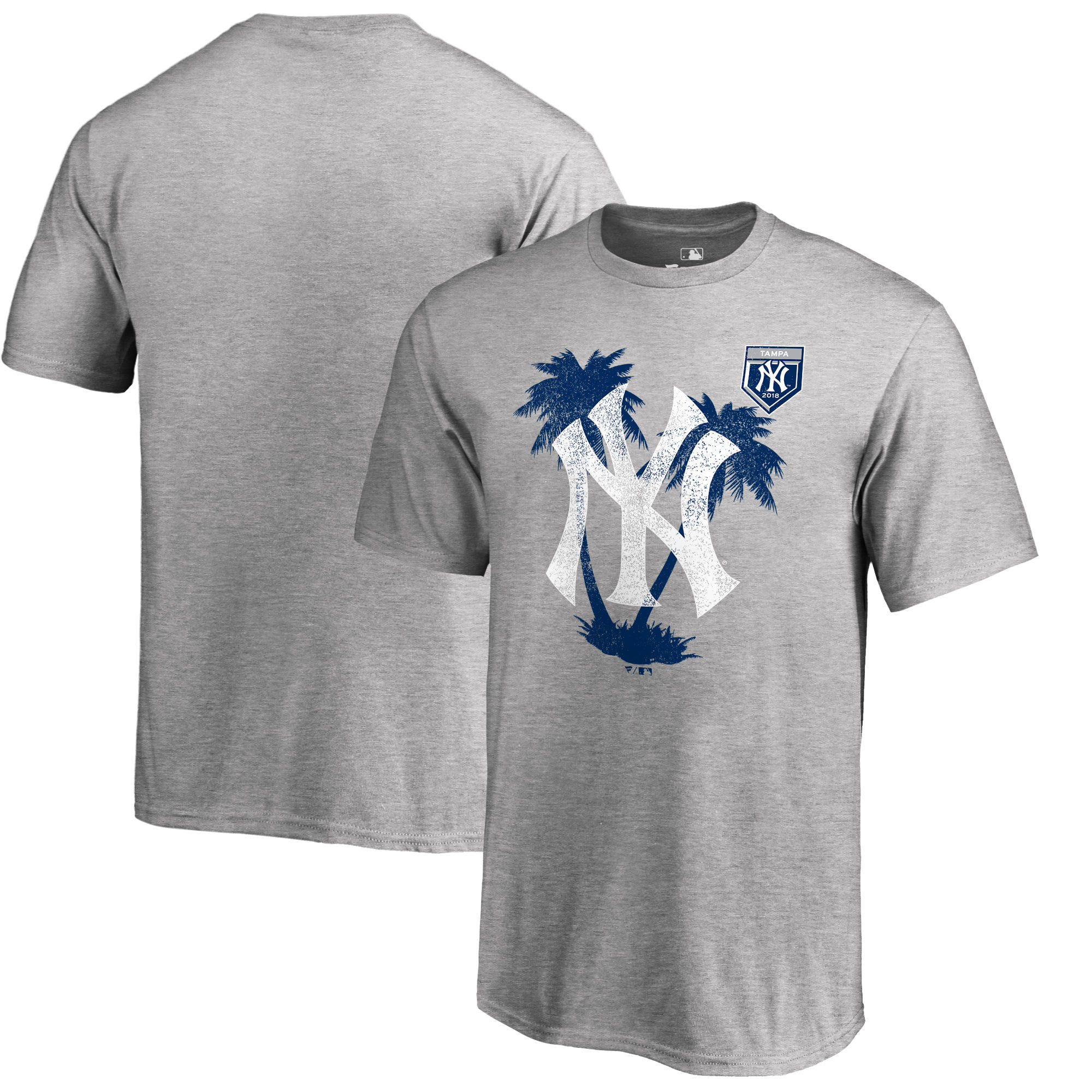 Men's New York Yankees Fanatics Branded 2018 MLB Spring Training Vintage T-Shirt – Heather Gray